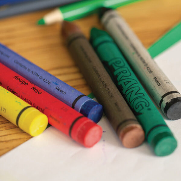 Soybean Crayons, Large, 8 Colors Per Pack, 6 Packs