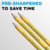 No. 2 Pencils, Pre-Sharpened, 30 Per Pack, 2 Packs