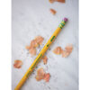 Pencils, #2 Soft, Yellow, Unsharpened, 24 Per Pack, 2 Packs