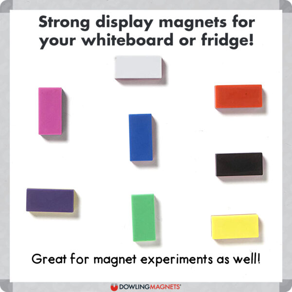 Hero Magnets Block Magnets, Display Box of 40