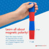ERSDO-712-3_1.jpg North-South Bar Magnets 3", Red-Blue Poles, 2 Per Pack, 3 Packs