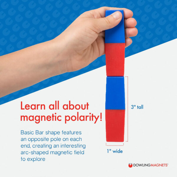 ERSDO-712-3_1.jpg North-South Bar Magnets 3", Red-Blue Poles, 2 Per Pack, 3 Packs
