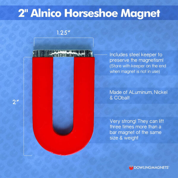 2" Alnico Horseshoe Magnet, Pack of 3