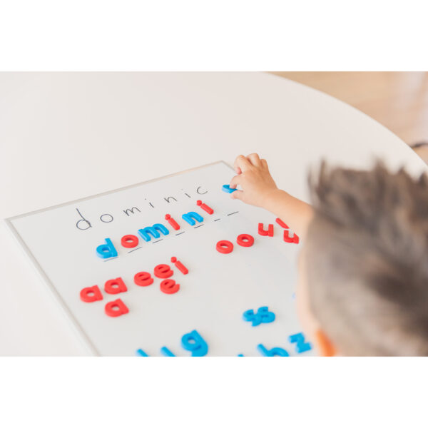 AlphaMagnets Color-Coded Lowercase, 42 Per Pack, 2 Packs