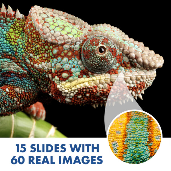 GeoSafari Jr. Kidscope