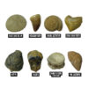 ERSEI-5340_2.jpg GeoSafari Jr. Fossil Excavation Kit