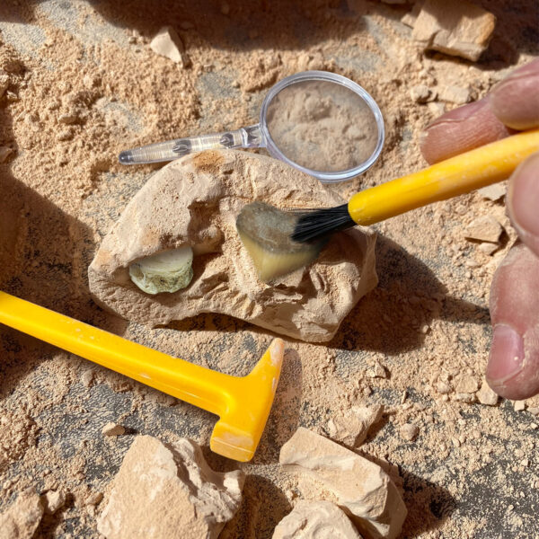 ERSEI-5340_3.jpg GeoSafari Jr. Fossil Excavation Kit