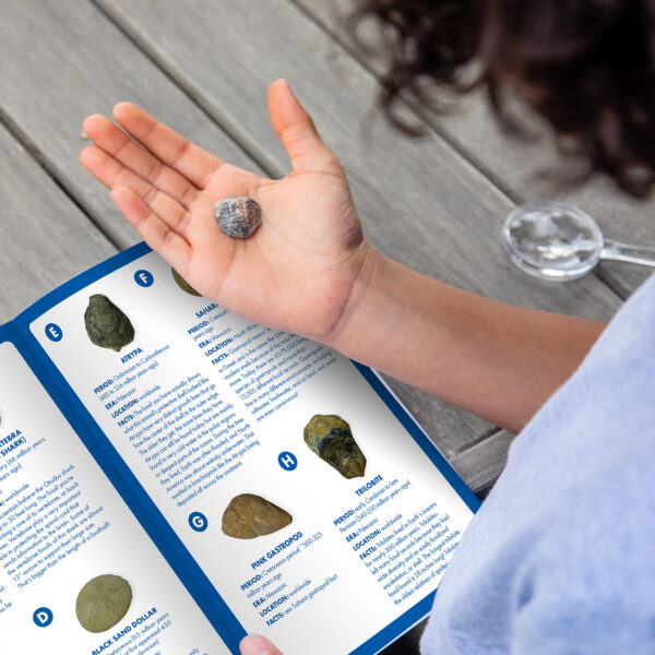 ERSEI-5340_6.jpg GeoSafari Jr. Fossil Excavation Kit