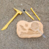 ERSEI-5340_8.jpg GeoSafari Jr. Fossil Excavation Kit