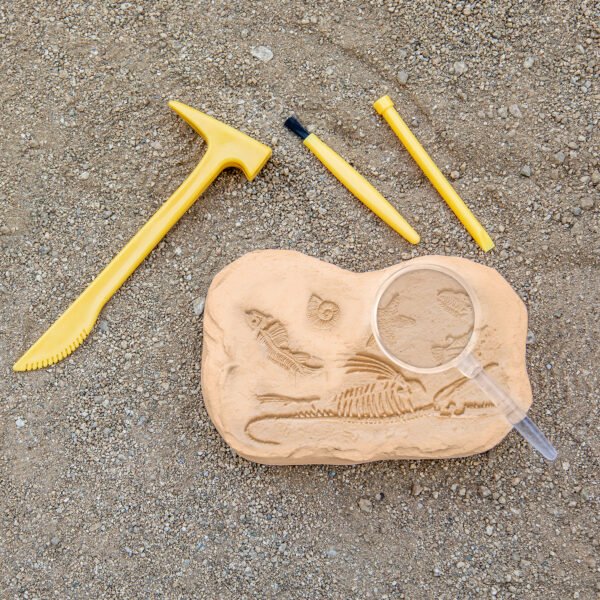 ERSEI-5340_8.jpg GeoSafari Jr. Fossil Excavation Kit