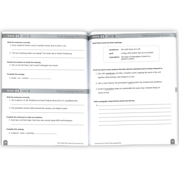 Daily Language Review Teacher's Edition, Grade 6