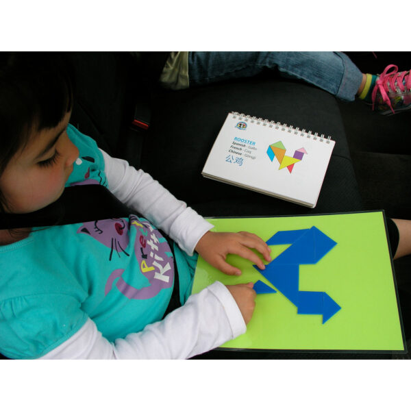 OLYMPUS DIGITAL CAMERA Tangram Smart Game
