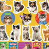 KittensThemeSticker Motivational Cats, 120 Per Pack, 12 Packs