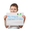 Little boy holds blank paper sheet, blue background Two-Sided Magnetic Dry Erase Board, 9" x 12", Ruled, Pack of 24