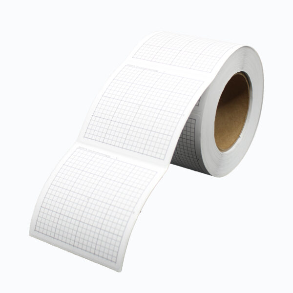 Graphing Stickers, Accentuated XY Axis, 500 Stickers