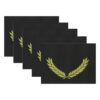Gold Foil Stamped Black Certificate Folders, 10" x 13", Pack of 30