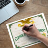 Certificate of Achievement, 30 Per Pack, 3 Packs
