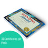 Principal's Award Certificate, 8.5" x 11", 30 Per Pack, 3 Packs