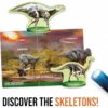 ERSHDUEN29822_2.jpg Dinosaurs under X-Ray