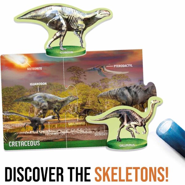 ERSHDUEN29822_2.jpg Dinosaurs under X-Ray