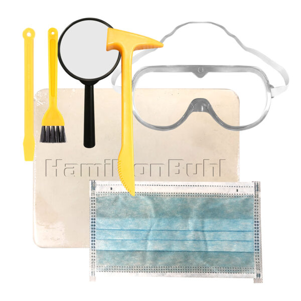 Paleo Hunter Dig Kit for STEAM Education - Stegosaurus