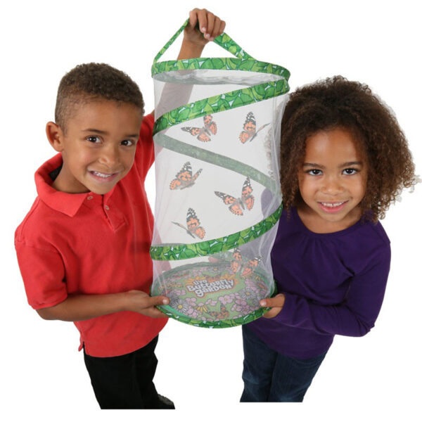 ERSILP01070_2.jpg Giant Butterfly Garden Deluxe Growing Kit