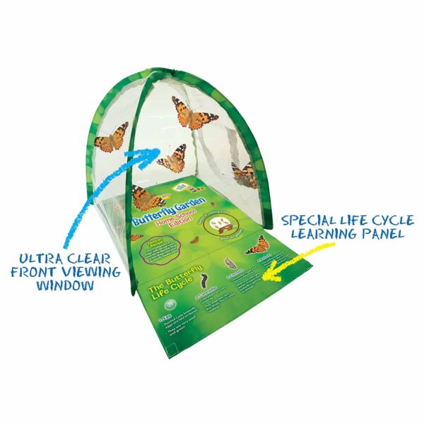 Butterfly Garden Homeschool Edition