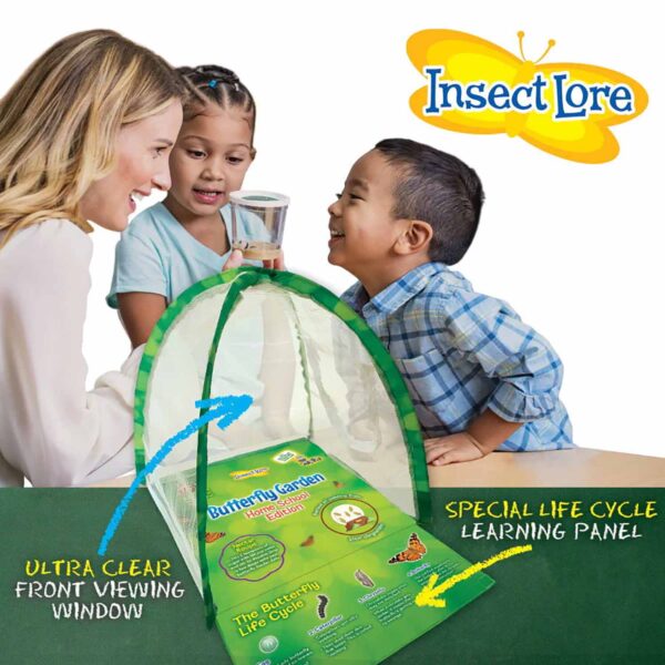Butterfly Garden Homeschool Edition