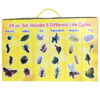 Life Cycle Figurines Set, 24 Pieces