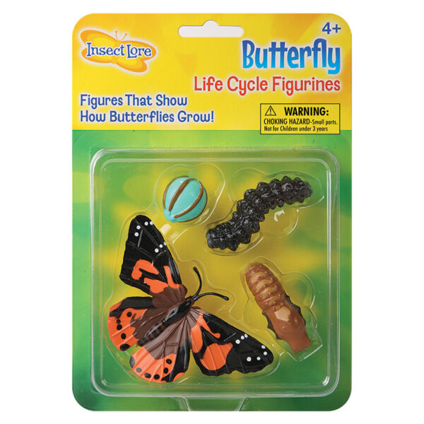 ERSILP4760-2_1.jpg Butterfly Life Cycle Stages Figurines, 4 Per Set, 2 Sets