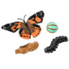 ERSILP4760-2_2.jpg Butterfly Life Cycle Stages Figurines, 4 Per Set, 2 Sets