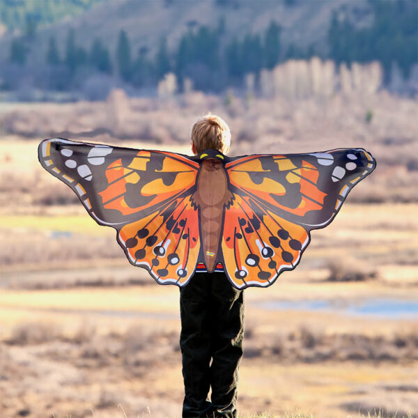 ERSILP4800-3_5.jpg Dress-Up Painted Lady Butterfly Wings, Pack of 3