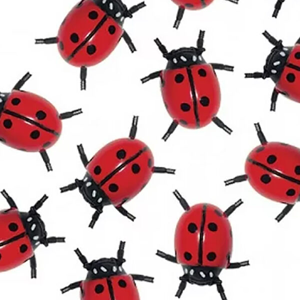 Lots Of Ladybugs, 12 Per Pack, 3 Packs