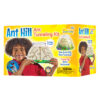 Ant Hill Ant Habitat