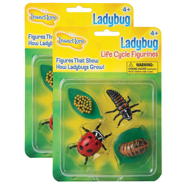 ERSILP6090-2.jpg Ladybug Life Cycle Stages, 4 Per Set, 2 Sets