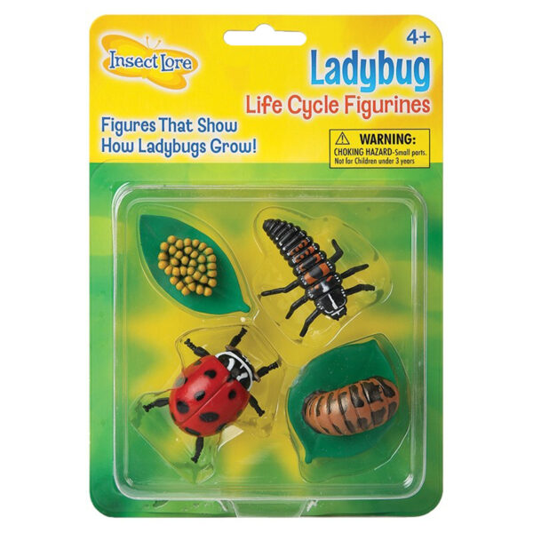 ERSILP6090-2_1.jpg Ladybug Life Cycle Stages, 4 Per Set, 2 Sets