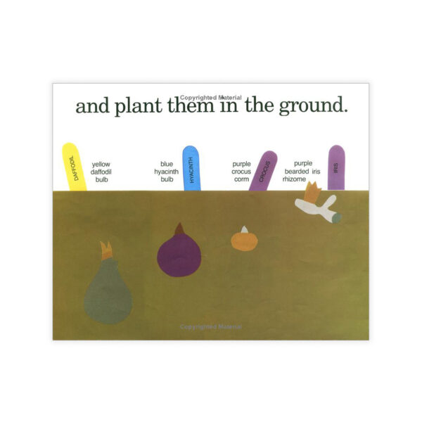 Planting a Rainbow Big Book