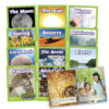 Science Decodables Phase 4 Non-Fiction