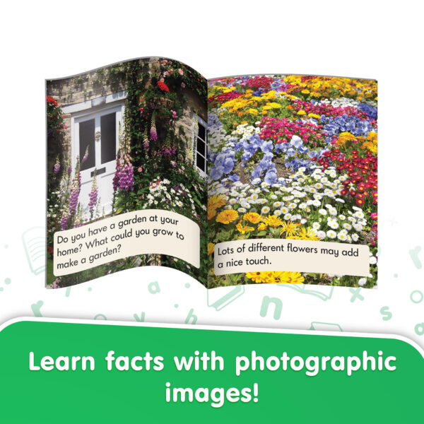 Letters & Sounds Non-Fiction Decodables Boxed Set, Set 1