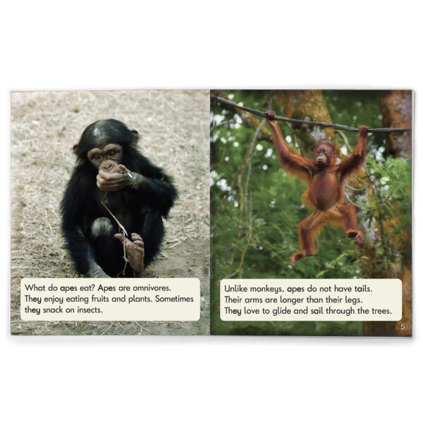 Sound Families Decodable Readers Long Vowels Non-Fiction Phase 5.5, Set of 12