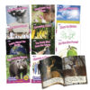 ERSJRLBB148.jpg Sound Families Decodable Readers R-controlled Non-Fiction Phase 5.5, Set of 12