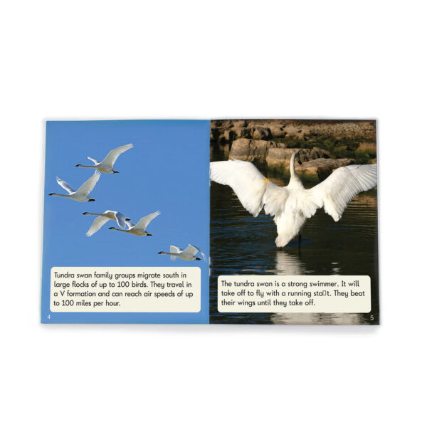 Fix Its Decodable Readers Suffixes Non-Fiction Phase 6, Set of 12