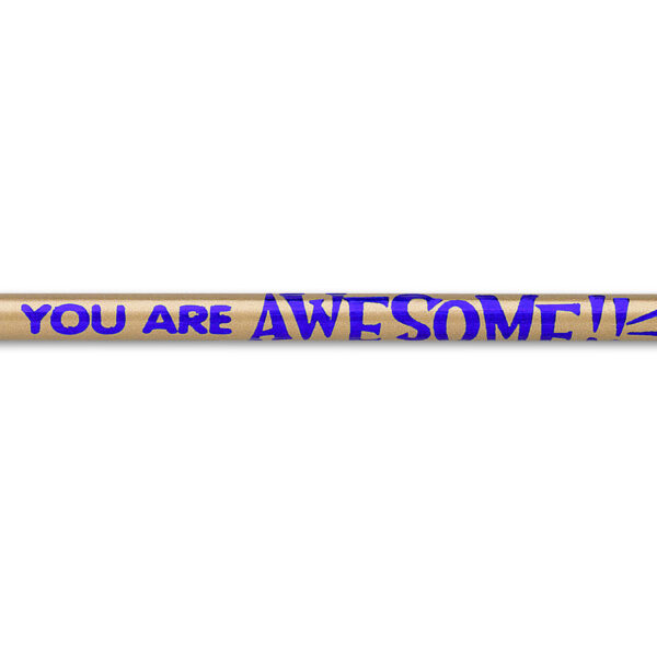 Pencils You Are Awesome!, 12 Per Pack, 12 Packs