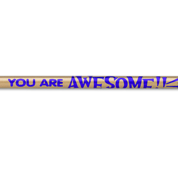 You Are Awesome! Pencil, Pack of 144