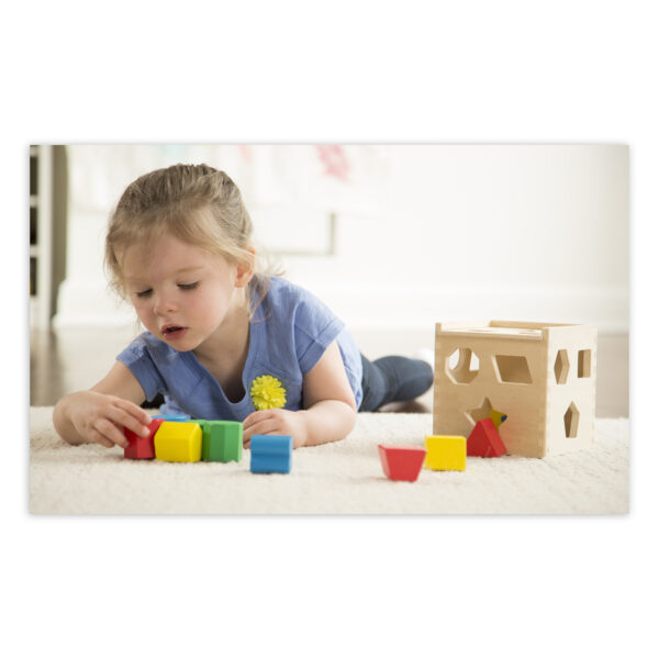 Shape Sorting Cube Classic Toy