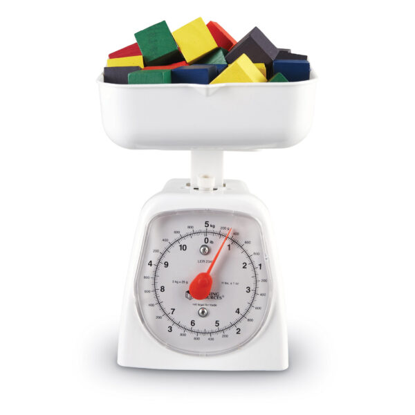 Platform Scale, 5 Kilogram-11 Pound Capacity