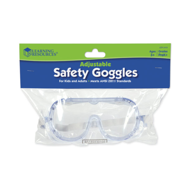 Clear Safety Goggles, Pack of 6