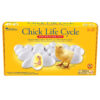 ERSLER2733.jpg Chick Life Cycle Exploration Set