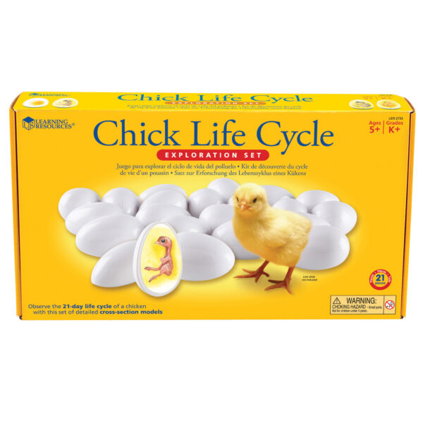 ERSLER2733.jpg Chick Life Cycle Exploration Set