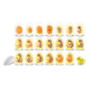 ERSLER2733_1.jpg Chick Life Cycle Exploration Set